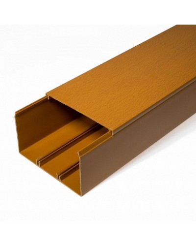 Кабель-канал бук 2-й замок 100х60 (16м/уп) Промрукав (PR.025447) в Ессентуках Огнестойкие кабельные линии Pintop.ru