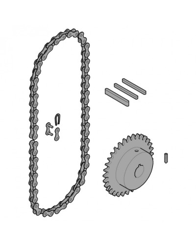 Передающая система (цепь и звездочки) C005 Came 119RICX016 в Ессентуках Запчасти для шлагбаумов и автоматики Pintop.ru