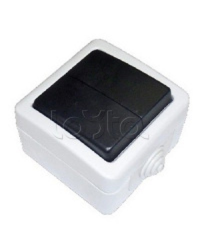 Экопласт EF602SA Переключатель 2-полюсный, двухклавишный с 2-х мест (сх.6+6) 10A (сер.) в Ессентуках Розетки компьютерные и телефонные Pintop.ru