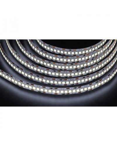 Лента светодиодная Navigator 14 459 NLS-2835CW240-24-IP20-12V в Ессентуках Источники света(Лампы) Pintop.ru