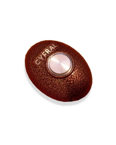 Кнопка открывания двери Цифрал КОДсП-4 в Ессентуках Многоабонентные устройства Pintop.ru