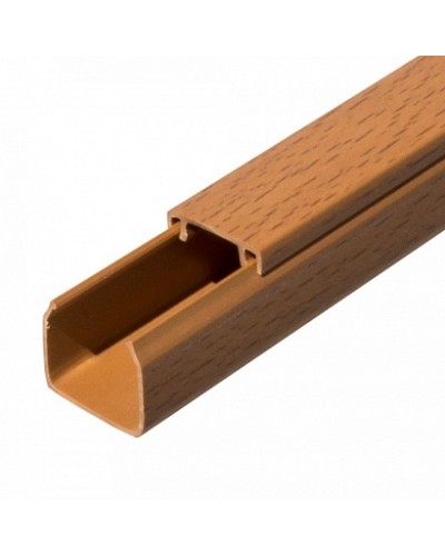 Кабель-канал бук 2-й замок в п/э 25х25 (32 м/уп) Промрукав (PR03.0198) в Ессентуках Огнестойкие кабельные линии Pintop.ru