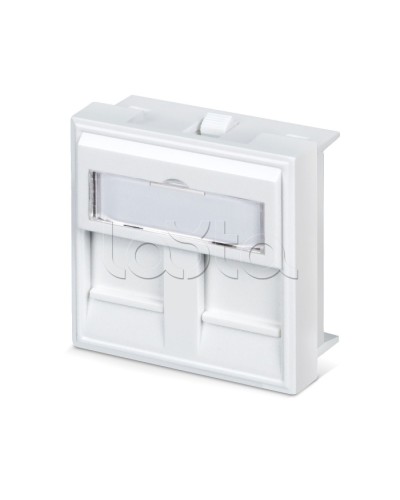 Вставка 45x45 (аналог Mosaic) для 2 модулей формата Keystone Jack Cabeus FP-45-2M в Ессентуках Модули Keystone Pintop.ru