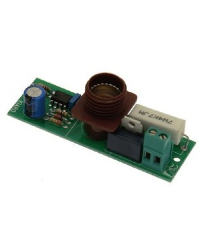 Плата лампы KIARO 24 Came 119RIR030 в Ессентуках Запчасти для шлагбаумов и автоматики Pintop.ru