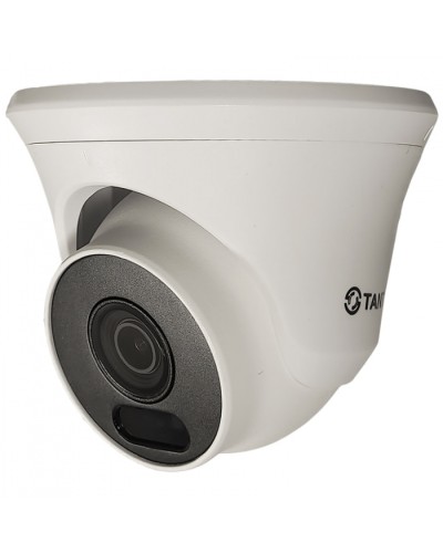 Видеокамера в купольном исполнении уличная Tantos TSc-Ee2FN в Ессентуках Системы видеонаблюдения Pintop.ru