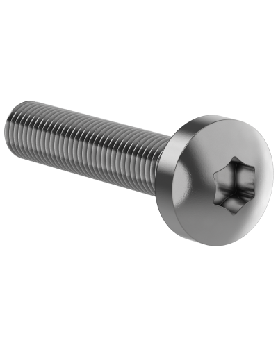 Винт М6х30 IEK (FO-00D-VTORX-M6X30-020) в Ессентуках Аксессуары для стоек и шкафов Pintop.ru