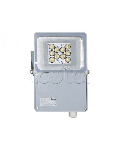 Прожектор светодиодный Forteza ФОСФОР-40/60-А (металл) в Ессентуках Аксессуары для средств охраны периметра Pintop.ru