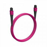 Кабельная сборка MPO(F)-MPO(F)-12 волокон 50/125 OM4, 3 m Cabeus (FOP-50-OM4-12-MPO(f)-12-MPO(f)-B-3m)