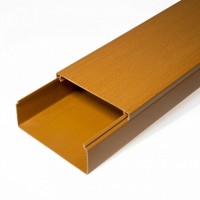 Кабель-канал бук 2-й замок в п/э 100х40 (8 м/уп) Промрукав (PR03.0206)