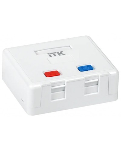 Корпус настенной розетки для 2 мод. Keystone Jack ITK (CS2-022) в Ессентуках Коннекторы Pintop.ru