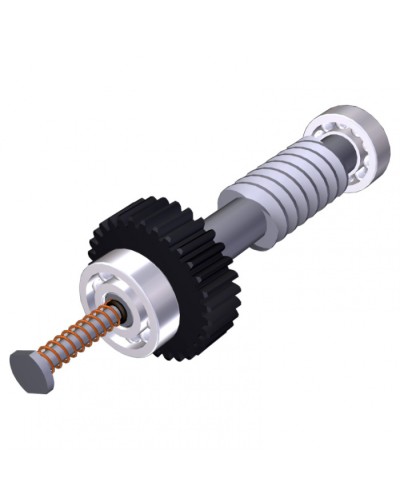 Червяк редуктора FAST40 Came 119RID374 в Ессентуках Запчасти для шлагбаумов и автоматики Pintop.ru