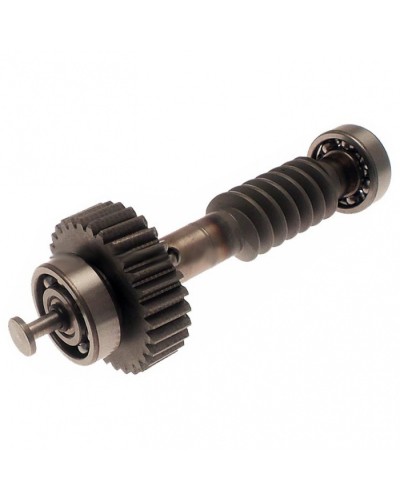 Червяк редуктора FAST в сборе Came 119RID228 в Ессентуках Запчасти для шлагбаумов и автоматики Pintop.ru