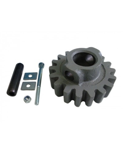 Шестерня ведущая ВК Came 119RIBK002 в Ессентуках Запчасти для шлагбаумов и автоматики Pintop.ru