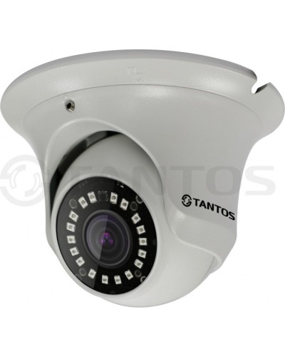 IP-камера видеонаблюдения купольная Tantos TSi-Ee25FP (2.8) в Ессентуках IP-камеры Pintop.ru