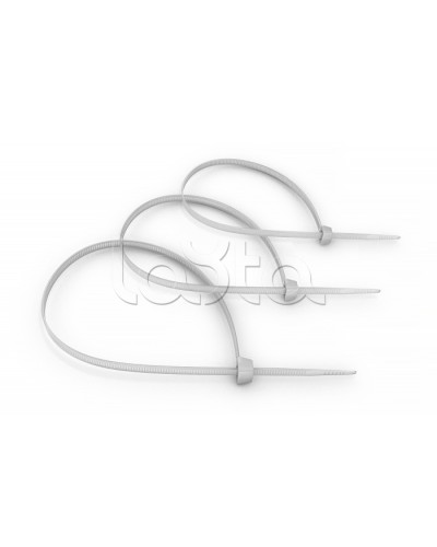 Стяжка нейлоновая неоткрывающаяся, безгалогенная (halogen free) 100x2.5мм, (100 шт) Cabeus CT-100 в Ессентуках Аксессуары для кабель-канала Pintop.ru