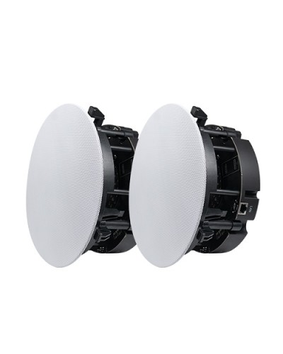 Двухполосный потолочный динамик DSPPA DW-2235 в Ессентуках Система оповещения и трансляции Dsppa Pintop.ru