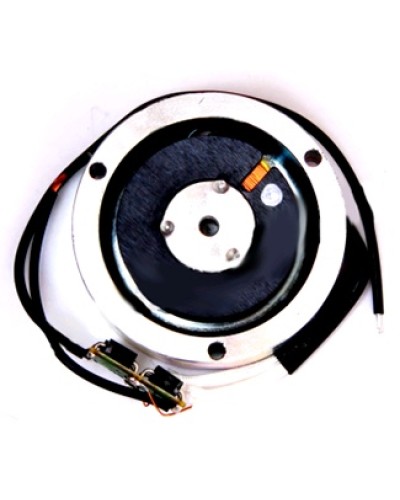 Электромагнит BY1500T Came 119RIY034 в Ессентуках Запчасти для шлагбаумов и автоматики Pintop.ru