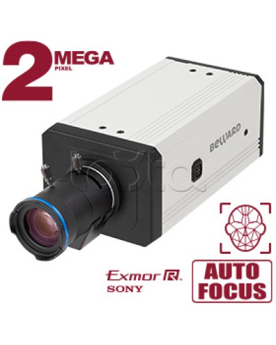 IP-камера видеонаблюдения купольная Beward SV2218M2 в Ессентуках IP-камеры Pintop.ru