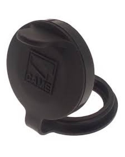 Защита целиндра замка A4366 Came 119RIA051 в Ессентуках Запчасти для шлагбаумов и автоматики Pintop.ru