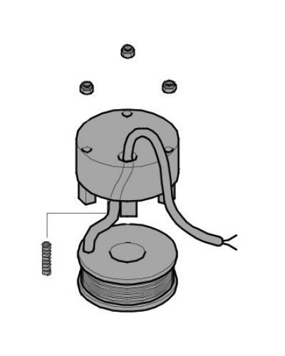 Электромагнит BX-P, BK-1200P Came 119RIBX035 в Ессентуках Запчасти для шлагбаумов и автоматики Pintop.ru