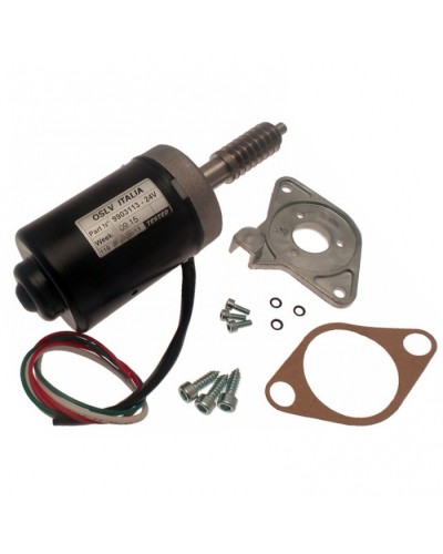 Электродвигатель BX-243 в сборе Came 119RIBX046 в Ессентуках Запчасти для шлагбаумов и автоматики Pintop.ru