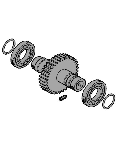 Вал выходной EMEGA Came 119RIE062 в Ессентуках Запчасти для шлагбаумов и автоматики Pintop.ru