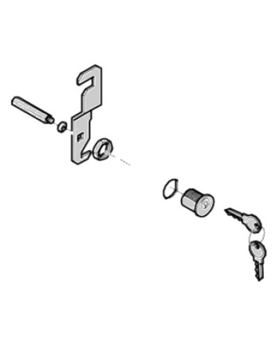 Замок дверцы G4040 G4041 Came 119RIG176 в Ессентуках Запчасти для шлагбаумов и автоматики Pintop.ru