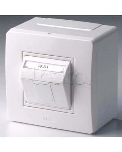 Коробка в сборе с 1 розеткой RJ45, кат.5е (телефон / компьютер), белая DKC 10665 в Ессентуках Распределительные коробки Pintop.ru