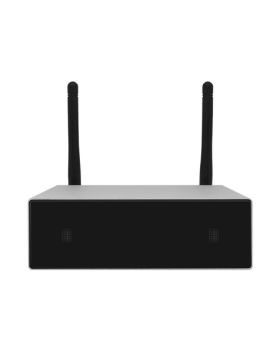 Усилитель потоковой передачи WIFI DSPPA DW-0250 в Ессентуках Система оповещения и трансляции Dsppa Pintop.ru