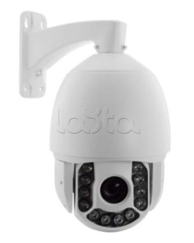 IP-камера видеонаблюдения купольная EverFocus ACE-ATE2033 в Ессентуках IP-камеры Pintop.ru