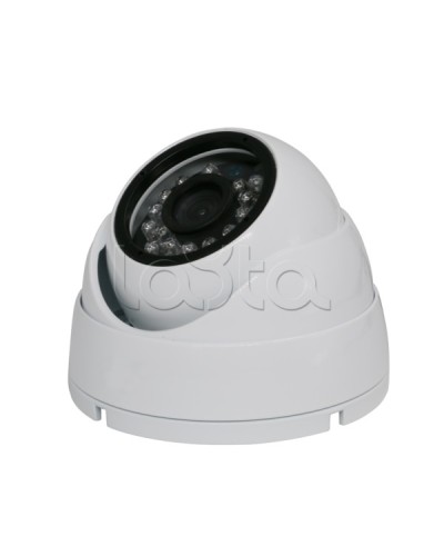 Камера видеонаблюдения купольная EverFocus ACE-IAB20XHD в Ессентуках Аналоговые камеры Pintop.ru