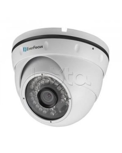 IP-камера видеонаблюдения купольная EverFocus ACE-IAV30 в Ессентуках IP-камеры Pintop.ru