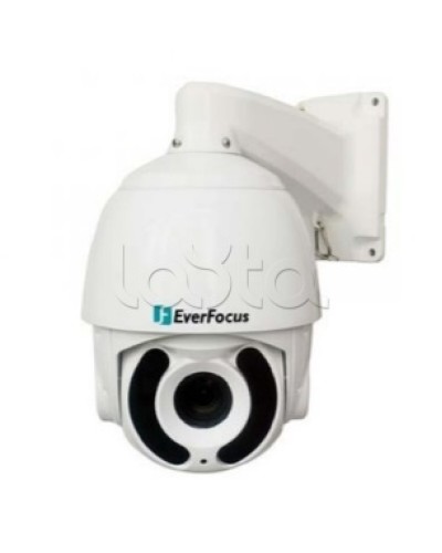 Камера видеонаблюдения поворотная купольная EverFocus EPA-6236 в Ессентуках Аналоговые камеры Pintop.ru