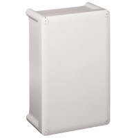 Коробка промышленная Legrand 035980