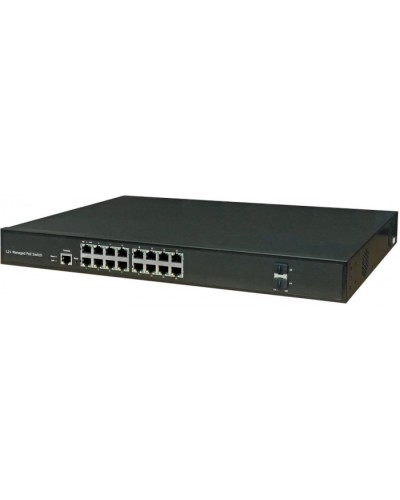 Коммутатор NSGate DAS-2G16GP (47P6018G) в Ессентуках Коммутаторы Pintop.ru