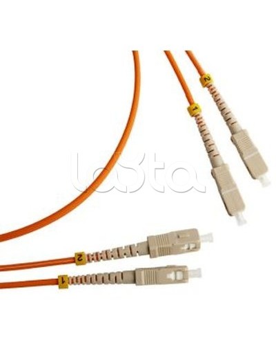 Патч-корд оптический TWT-2ST-2FC/SAU-20 в Ессентуках Патч-корды оптические Pintop.ru