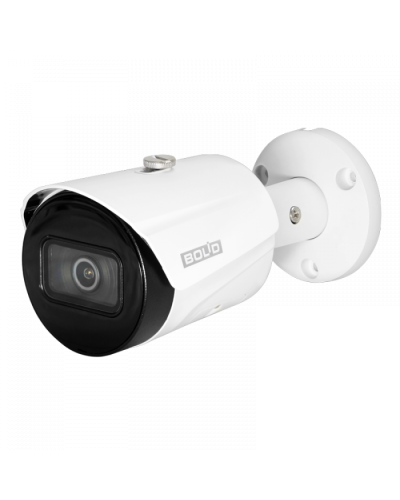 IP-камера видеонаблюдения в стандартном исполнении Болид VCI-122 в Ессентуках IP-камеры Pintop.ru