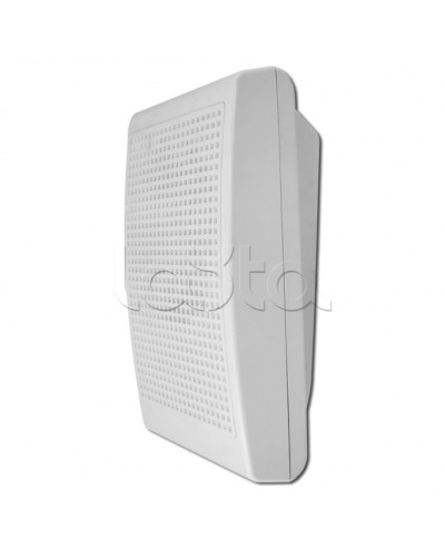 Модуль акустический С-Т-100 3/5 (ИП Раченков А.В.) в Ессентуках Оповещатели Pintop.ru