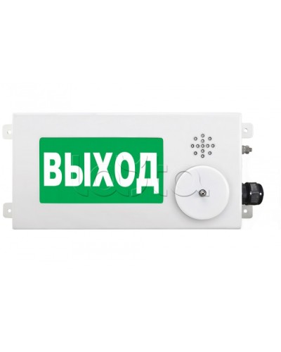 Табло световое взрывозащищенное Спектрон ТСВ-Exi-М-Прометей-МИНИ 12-36В в Ессентуках Оповещатели Ex Pintop.ru