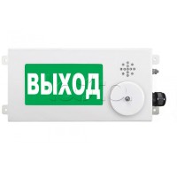 Табло световое взрывозащищенное Спектрон ТСВ-Exm-М-Прометей-МИНИ 220В