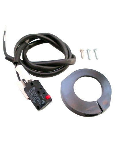 Микровыкл. FERNI в сборе Came 119RID093 в Ессентуках Запчасти для шлагбаумов и автоматики Pintop.ru