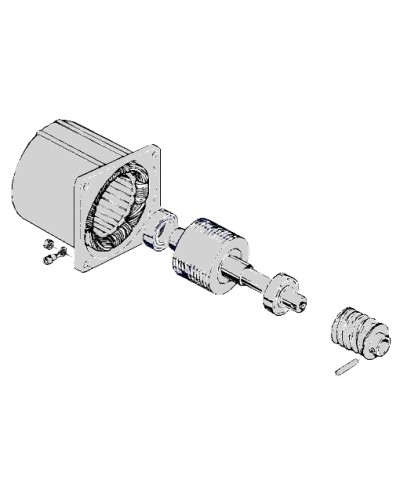 Электродвигатель С-100 Came 119RIC052 в Ессентуках Запчасти для шлагбаумов и автоматики Pintop.ru