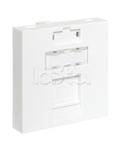 Вставка розеточная TERACOM PRO 45x45мм формат Mosaic на 1 модуль Keystone белая EKF (TRP-INS-MOS-2M1P-WH) в Ессентуках Розетки компьютерные и телефонные Pintop.ru