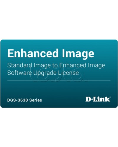 ПО D-Link DGS-3630-28TC-SE-LIC в Ессентуках Беспроводное оборудование Pintop.ru