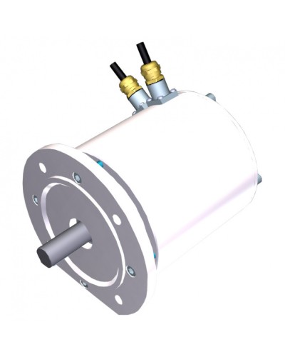 Электродвигатель FROG-MS Came 119RIA081 в Ессентуках Запчасти для шлагбаумов и автоматики Pintop.ru