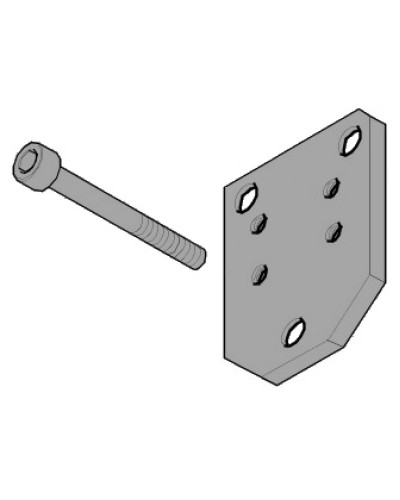 Пластина монтажная FLEX Came 119RID143 в Ессентуках Запчасти для шлагбаумов и автоматики Pintop.ru